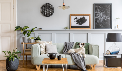 Living modern amenajat cu plante, tablouri, textile și corpuri de iluminat